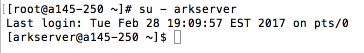 Switch to arkserver user