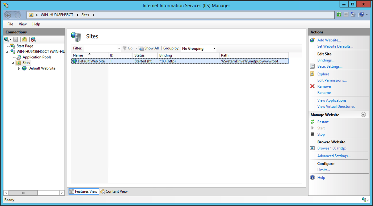 Open IIS Manager